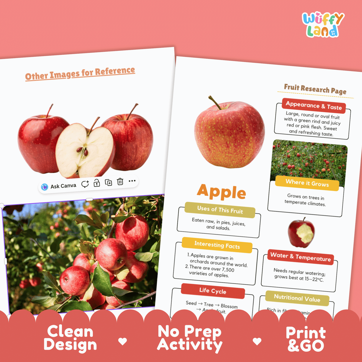 Apple Fruit Research Project | Healthy Eating Science | Life Cycle Activity