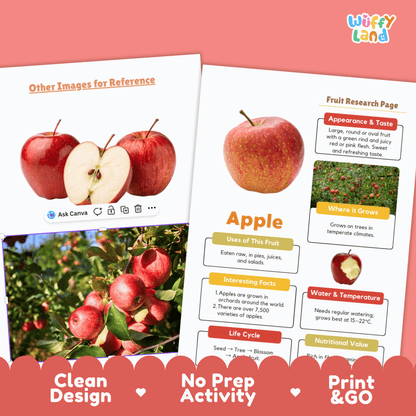 Apple Fruit Research Project | Healthy Eating Science | Life Cycle Activity