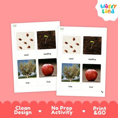 Two printable activity sheets for gardening or science learning, displayed on a pink background. The sheets feature images of seeds, seedlings, trees, and red apples with labels.