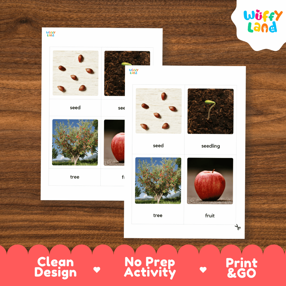 Two educational printables for plant growth, featuring seeds, seedling, tree, and fruit images with labels, displayed on a wooden background with a 'Wuffy Land' logo and promotional text at the bottom.