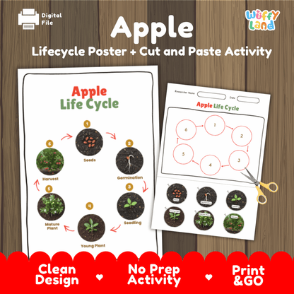 Apple Lifecycle Poster and Cut and Paste Activity Worksheets | Plant Science Printables