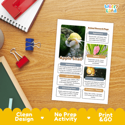 Apple Snail Animal Research Page and Worksheets