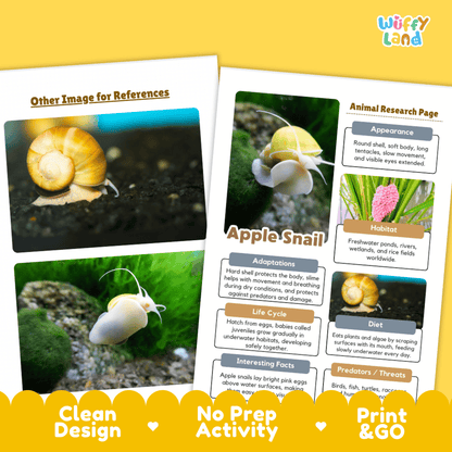 Apple Snail Animal Research Page and Worksheets