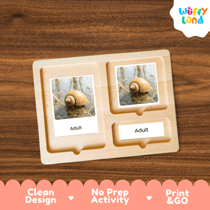 A wooden Montessori-style activity board with two labeled slots reading 'Adult,' each holding a small photo card of a snail on water. The board is shown on a wood-grain background, with a 'Wuffy Land' logo in the top right and a pink banner at the bottom highlighting clean design, no prep activity, and print-and-go use.