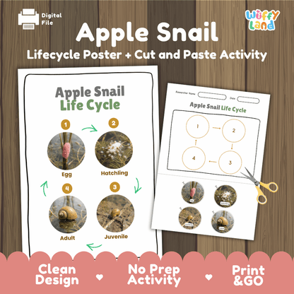 Apple Snail Life Cycle Poster and Cut and Paste Activity Worksheets