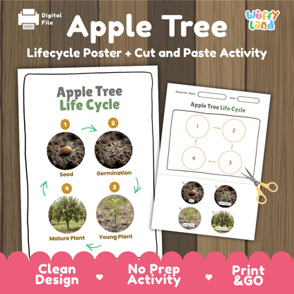 Apple Tree Life Cycle Poster and Cut and Paste Activity Worksheet