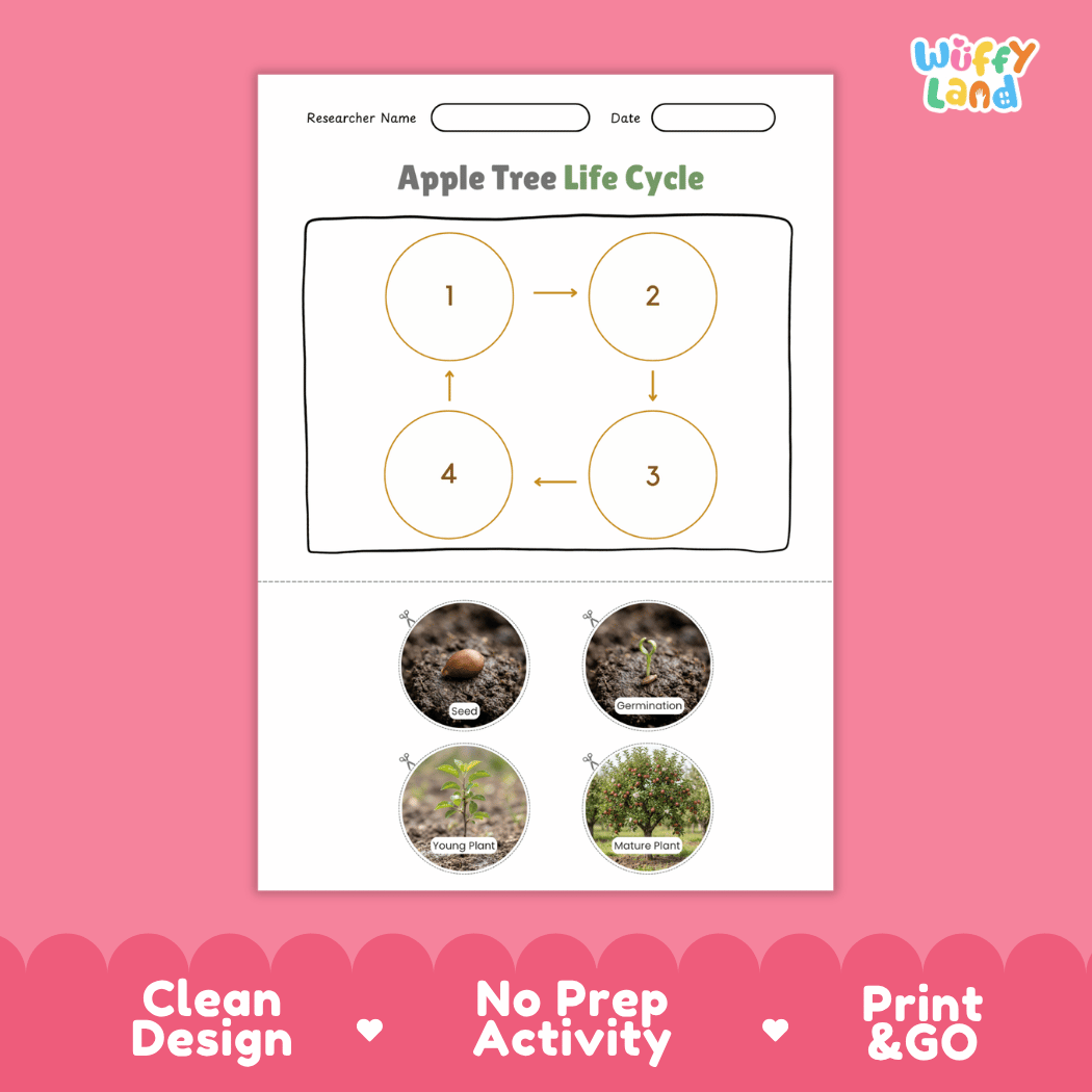 Apple Tree Life Cycle Poster and Cut and Paste Activity Worksheet