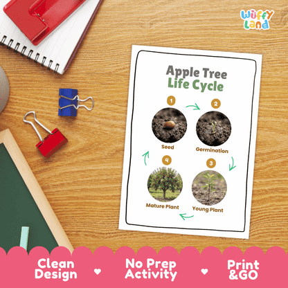 Apple Tree Life Cycle Poster and Cut and Paste Activity Worksheet