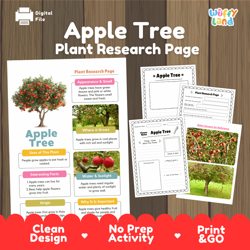 Digital product preview for an 'Apple Tree Plant Research Page' by Wiffly Land, showing a printable poster and worksheet pages on a wood-textured background with a red 'Print & Go' banner at the bottom.
