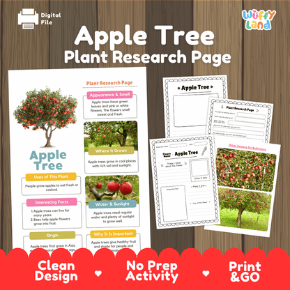 Digital product preview for an 'Apple Tree Plant Research Page' by Wiffly Land, showing a printable poster and worksheet pages on a wood-textured background with a red 'Print & Go' banner at the bottom.