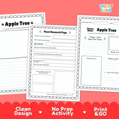 Apple Tree Plant Research Page Worksheets and Graphic Organizers