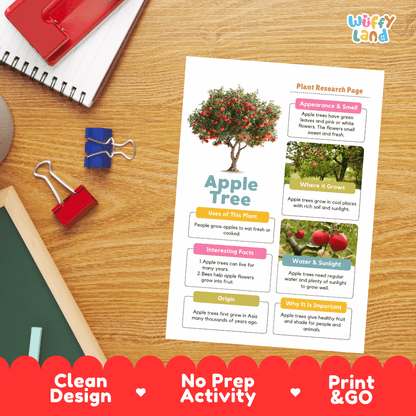 Apple Tree Plant Research Page Worksheets and Graphic Organizers