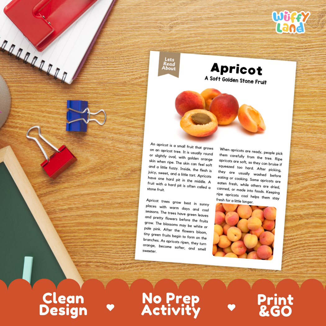 Student reading comprehension worksheet with short-answer questions and lined sections about the apricot fruit