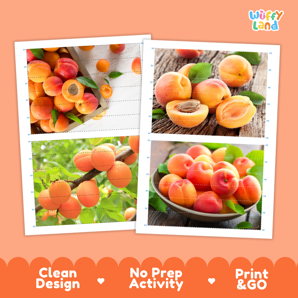 Printable activity sheets featuring photographic apricot puzzle boards and cutting guides