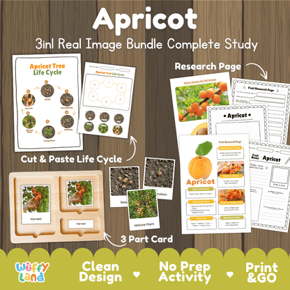 Apricot tree life cycle 3in1 real image bundle complete study overview featuring cut and paste worksheets, Montessori 3-part cards, and research pages from Wuffy Land 🍑🌱