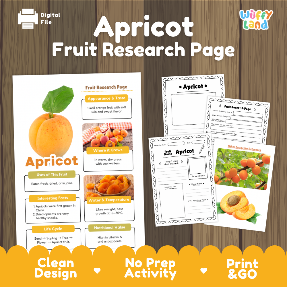 Apricot Fruit Research Page Worksheets and Fact Sheet