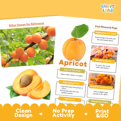 An educational fruit poster about apricots from the brand Wiffly Land, featuring a clean layout with a main apricot illustration, a photo of apricots on a branch, a sliced apricot, and text sections detailing its appearance, taste, uses, growing conditions, and facts. The poster is shown on a yellow background with decorative banners at the bottom.