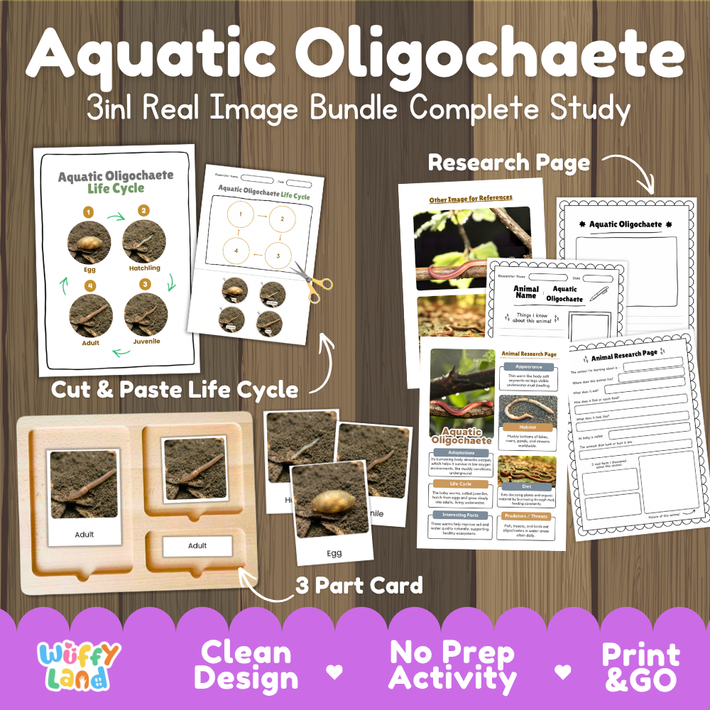 Aquatic oligochaete 3-in-1 real image bundle complete study cover showing cut and paste life cycle, 3 part cards, and research pages