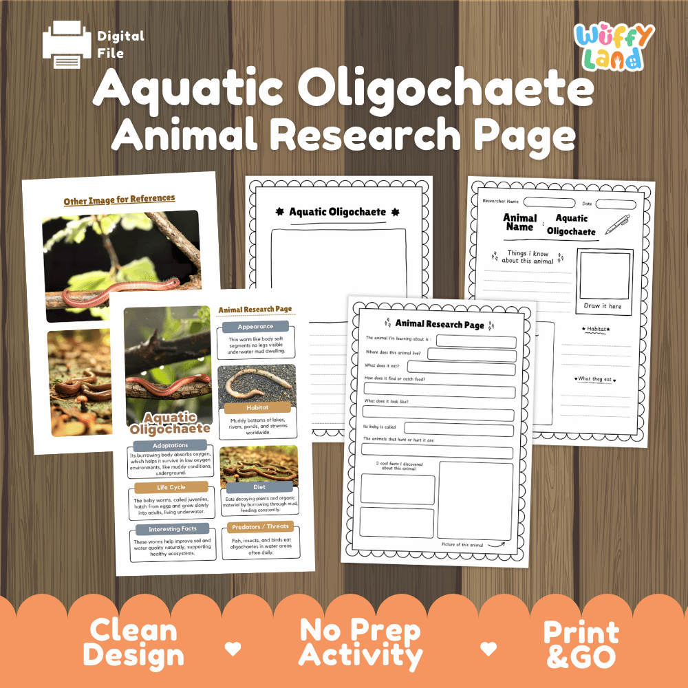 Aquatic Oligochaete Animal Research Page and Worksheets