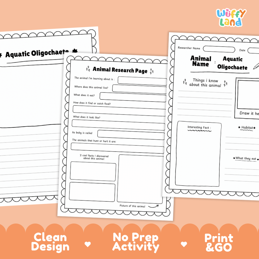 Aquatic Oligochaete Animal Research Page and Worksheets