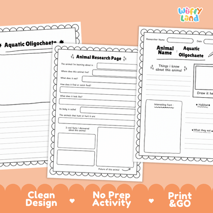 Aquatic Oligochaete Animal Research Page and Worksheets