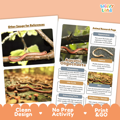 Aquatic Oligochaete Animal Research Page and Worksheets