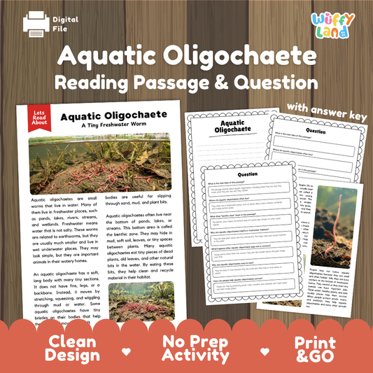 Aquatic Oligochaete Reading Passage and Comprehension Questions with Answer Key Worksheets