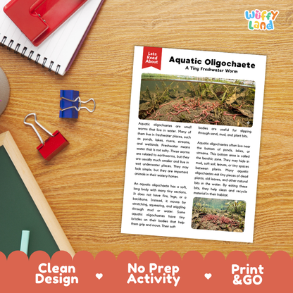 Aquatic Oligochaete Reading Passage and Comprehension Questions with Answer Key Worksheets