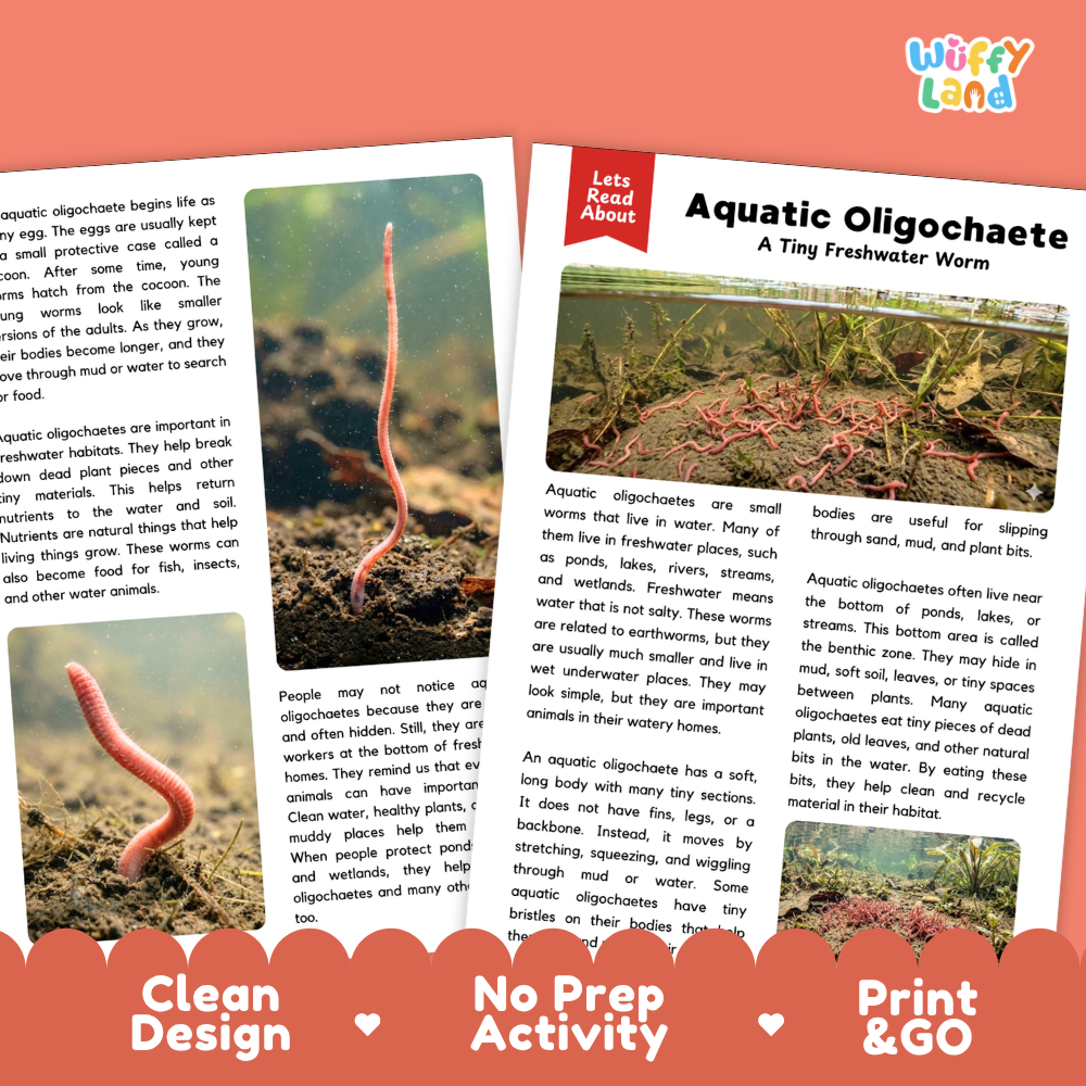 Aquatic Oligochaete Reading Passage and Comprehension Questions with Answer Key Worksheets
