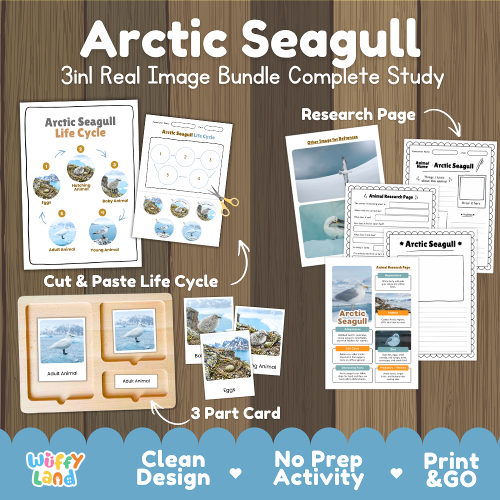 Arctic Seagull 3-in-1 real image bundle complete study cover showing cut and paste life cycle, 3 part cards, and research pages