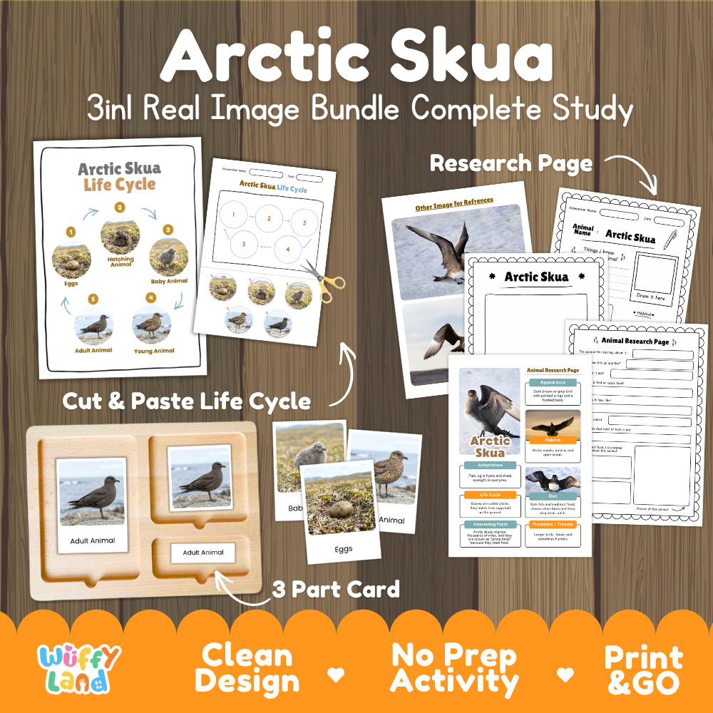 Arctic Skua 3-in-1 real image bundle complete study cover showing cut and paste life cycle, 3 part cards, and research pages