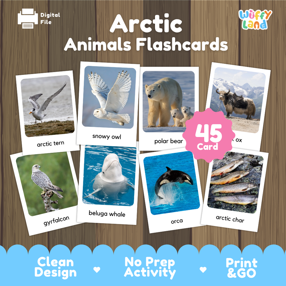 Arctic Animals Flashcards Printable Polar Habitat Cards for Early Elementary