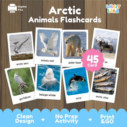 Arctic Animals Flashcards Printable Polar Habitat Cards for Early Elementary
