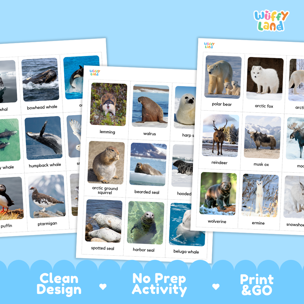 Arctic Animals Flashcards Printable Polar Habitat Cards for Early Elementary