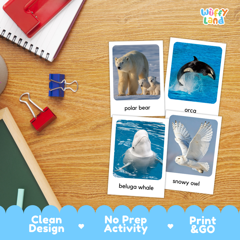 Arctic Animals Flashcards Printable Polar Habitat Cards for Early Elementary