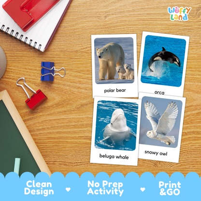 Arctic Animals Flashcards Printable Polar Habitat Cards for Early Elementary