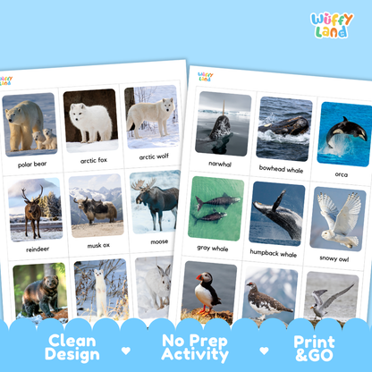 Arctic Animals Flashcards Printable Polar Habitat Cards for Early Elementary
