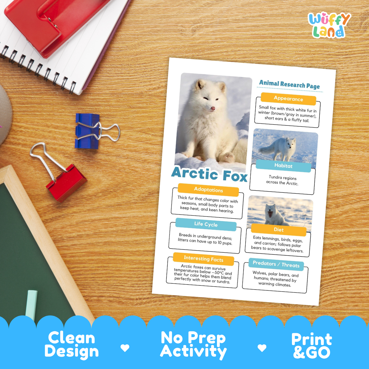 Arctic Fox Animal Research Page Worksheets