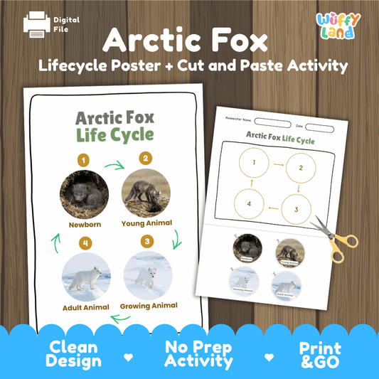 Arctic Fox Life Cycle Poster and Cut and Paste Activity Worksheets