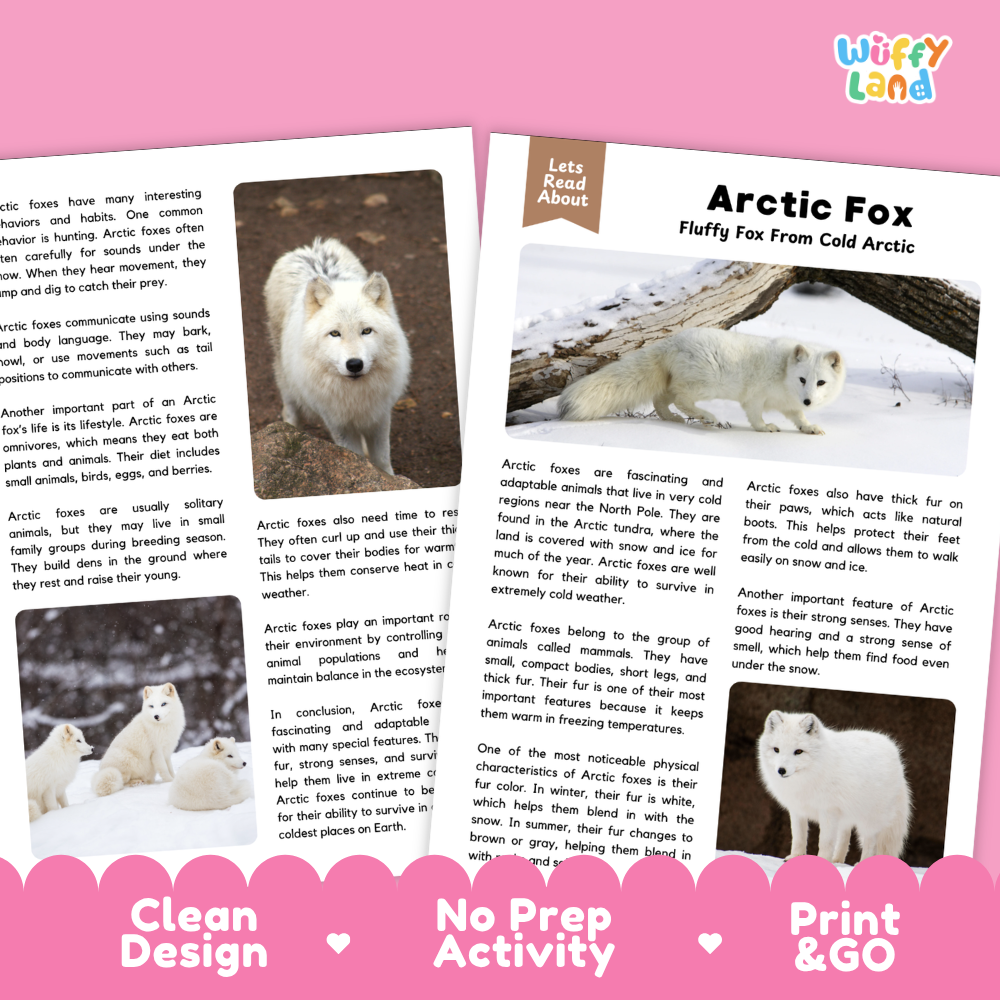 A printed activity sheet titled 'Arctic Fox Fluffy Fox from Cold Arctic' with two inset photos of an Arctic fox, plus pink header and footer banners reading 'Clean Design', 'No Prep Activity', and 'Print & GO'.