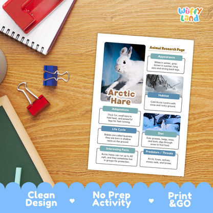 Arctic Hare Animal Research Project Printable Informational Writing Worksheets