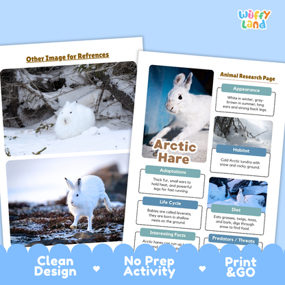 Printable educational poster about the Arctic Hare from Wiffle Land, shown as a clean two-page activity sheet with animal facts, habitat details, and reference images. The sheet is displayed on a light blue background with promotional text reading 'Clean Design', 'No Prep Activity', and 'Print & GO'.