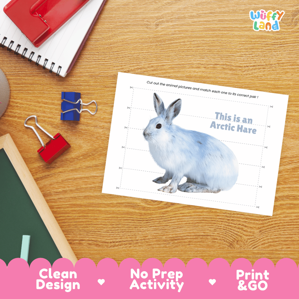 Arctic Hare Cut and Match Puzzle Activity Worksheets