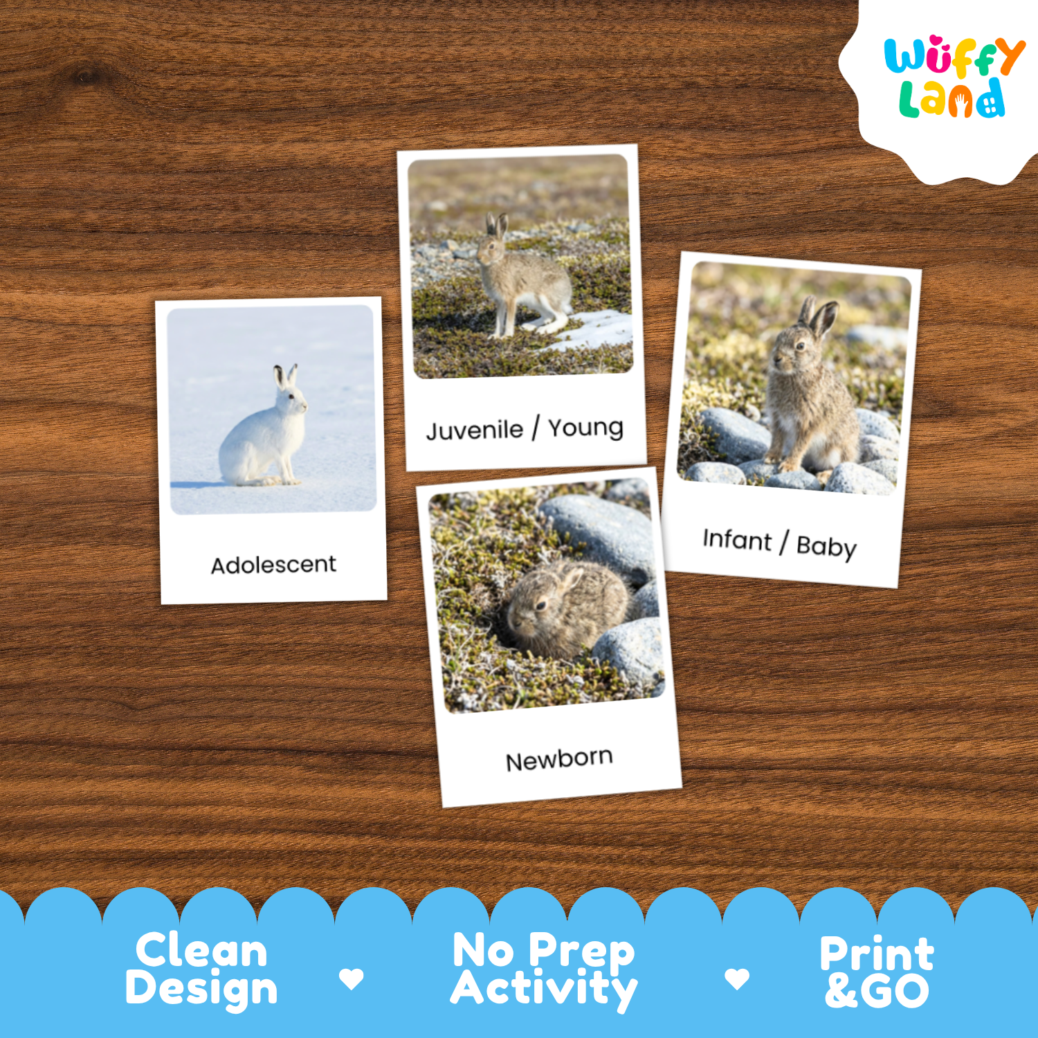 Four printed activity cards showing labeled animal photos (Adolescent, Juvenile/Young, Infant/Baby, Newborn) arranged on a wood surface, with the Wuffy Land logo in the top right and a blue banner at the bottom highlighting clean design, no prep activity, and print & go.
