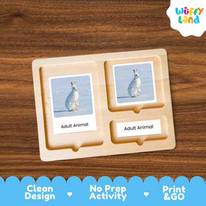 A wooden Montessori-style activity tray labeled 'Adult Animal' with two photo cards showing a white rabbit in a snowy landscape, placed on a brown wood surface. The 'Wuffy Land' logo appears in the top right, and a blue banner at the bottom highlights 'Clean Design', 'No Prep Activity', and 'Print & GO'.