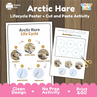 Arctic Hare Life Cycle Poster and Cut and Paste Worksheet Activity
