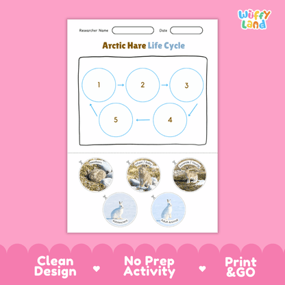 Arctic Hare Life Cycle Poster and Cut and Paste Worksheet Activity