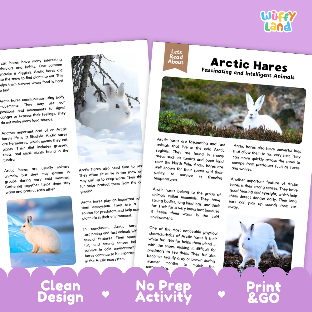 Arctic Hares Reading Passage and Questions Worksheets with Answer Key