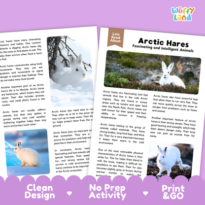 Arctic Hares Reading Passage and Questions Worksheets with Answer Key