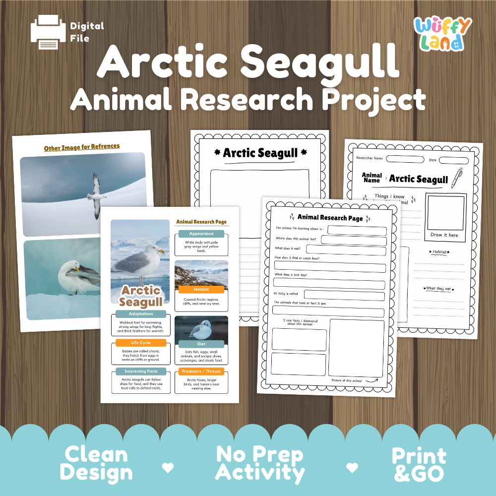 Arctic Seagull Animal Research Project Printable Informational Writing Worksheets